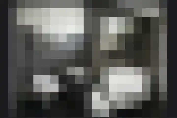 Muurveld 38 Veghel thumbnail 22
