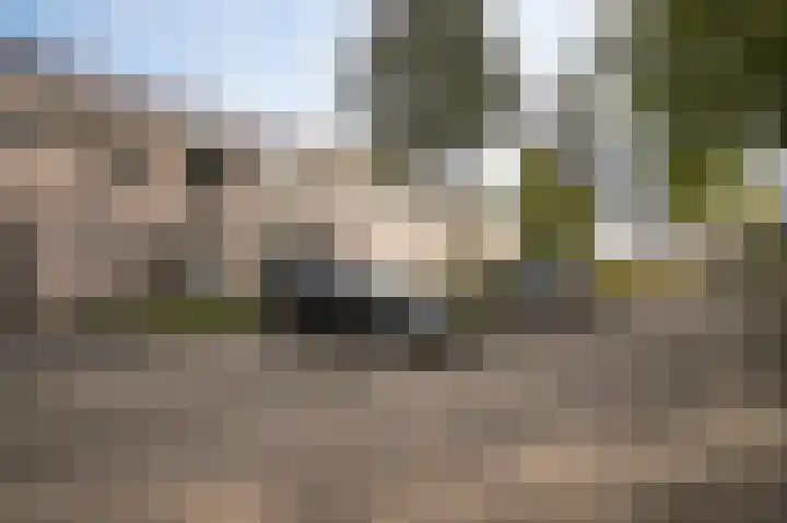 Muurveld 38 Veghel thumbnail 32