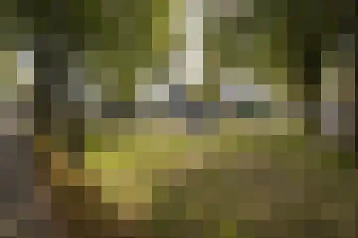Muurveld 38 Veghel thumbnail 33