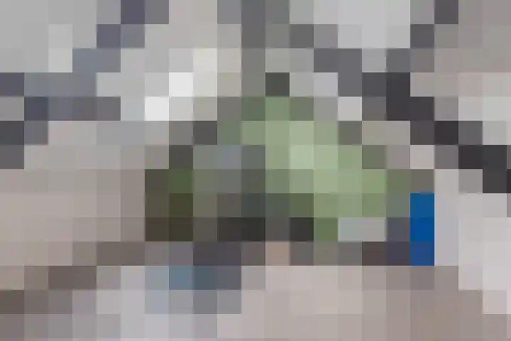 Muurveld 40 Veghel thumbnail 26