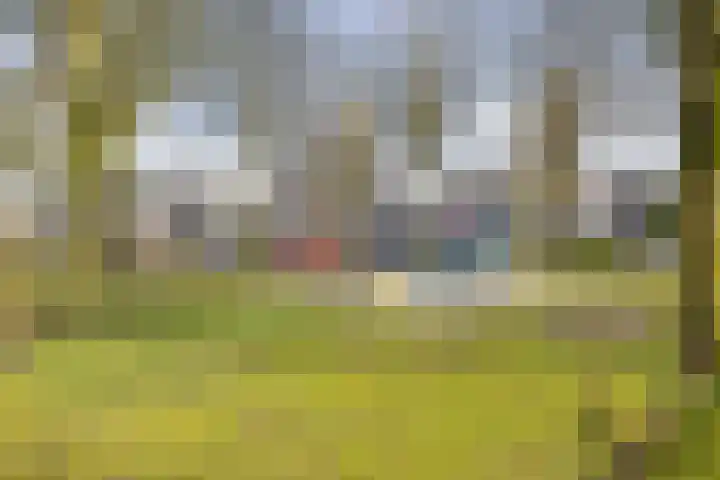 Muurveld 40 Veghel thumbnail 31