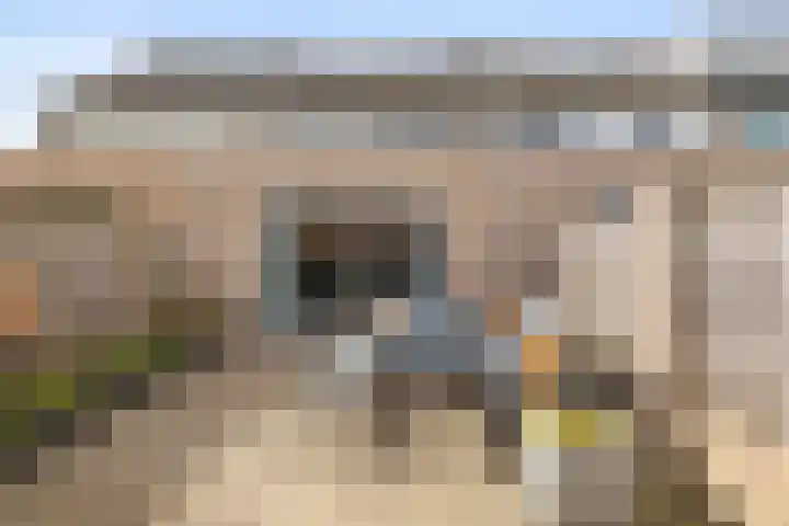 Muurveld 40 Veghel thumbnail 4
