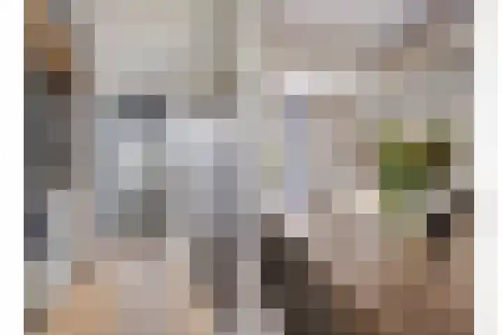 Muurveld 40 Veghel thumbnail 6