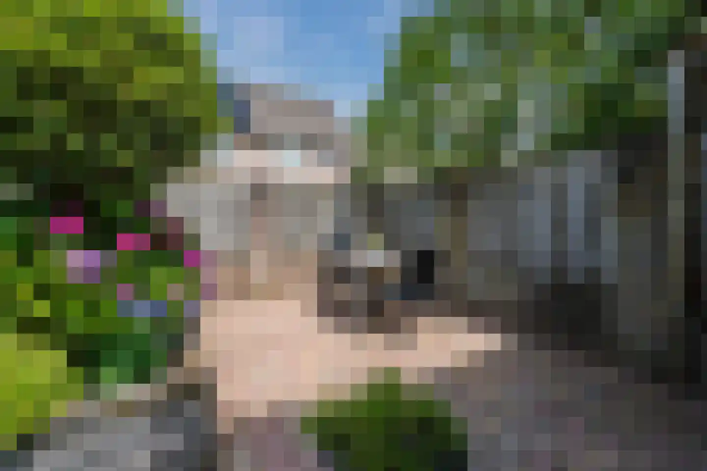 Muurveld 49 Veghel thumbnail 39