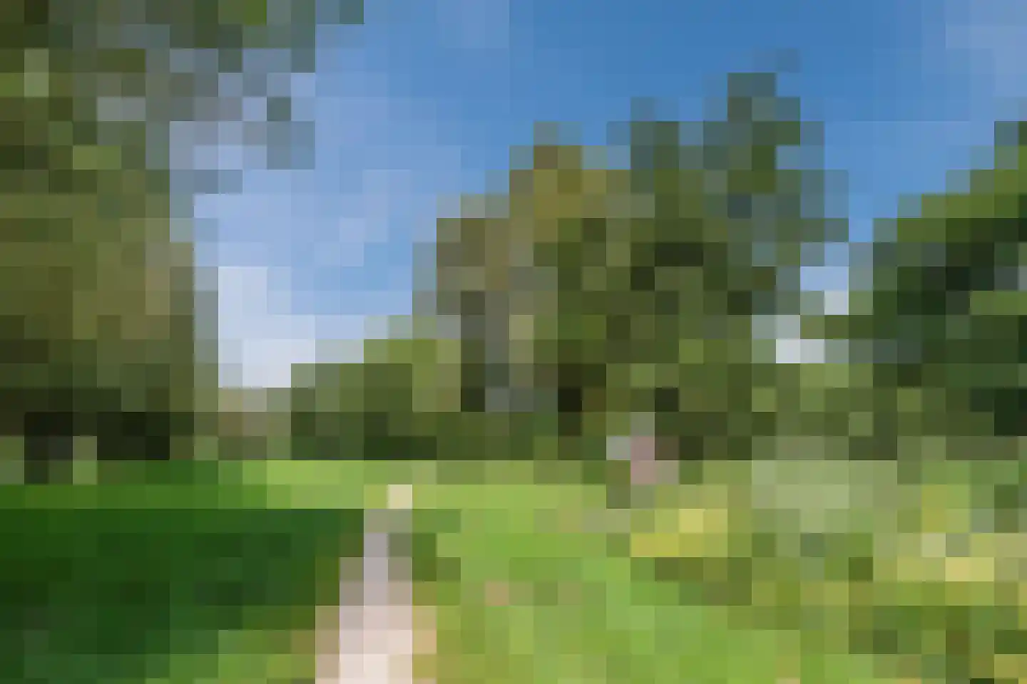 Muurveld 49 Veghel thumbnail 42