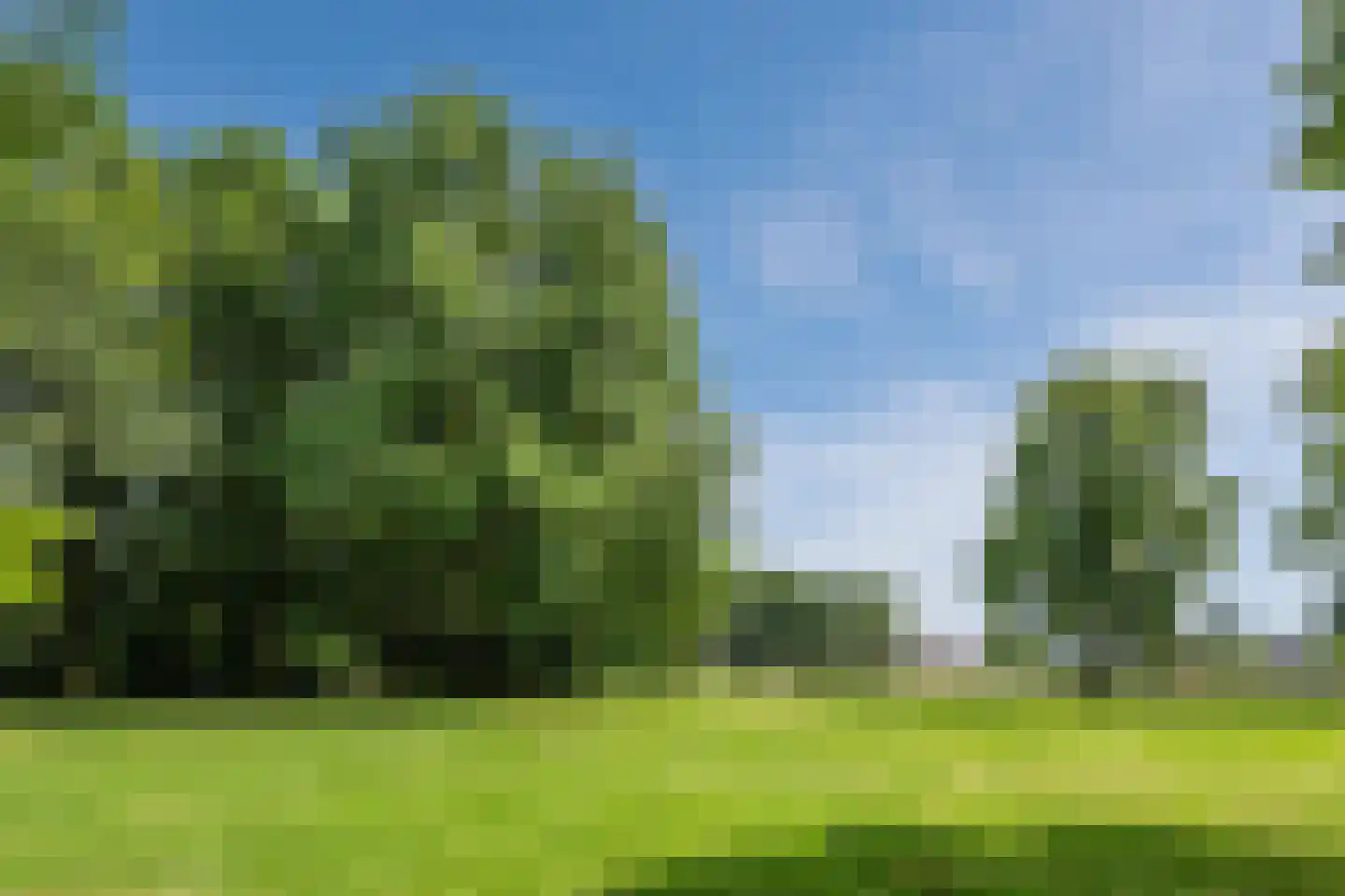 Muurveld 49 Veghel thumbnail 44