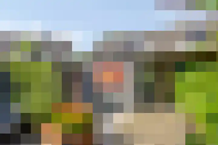 Muurveld 71 Veghel thumbnail 28