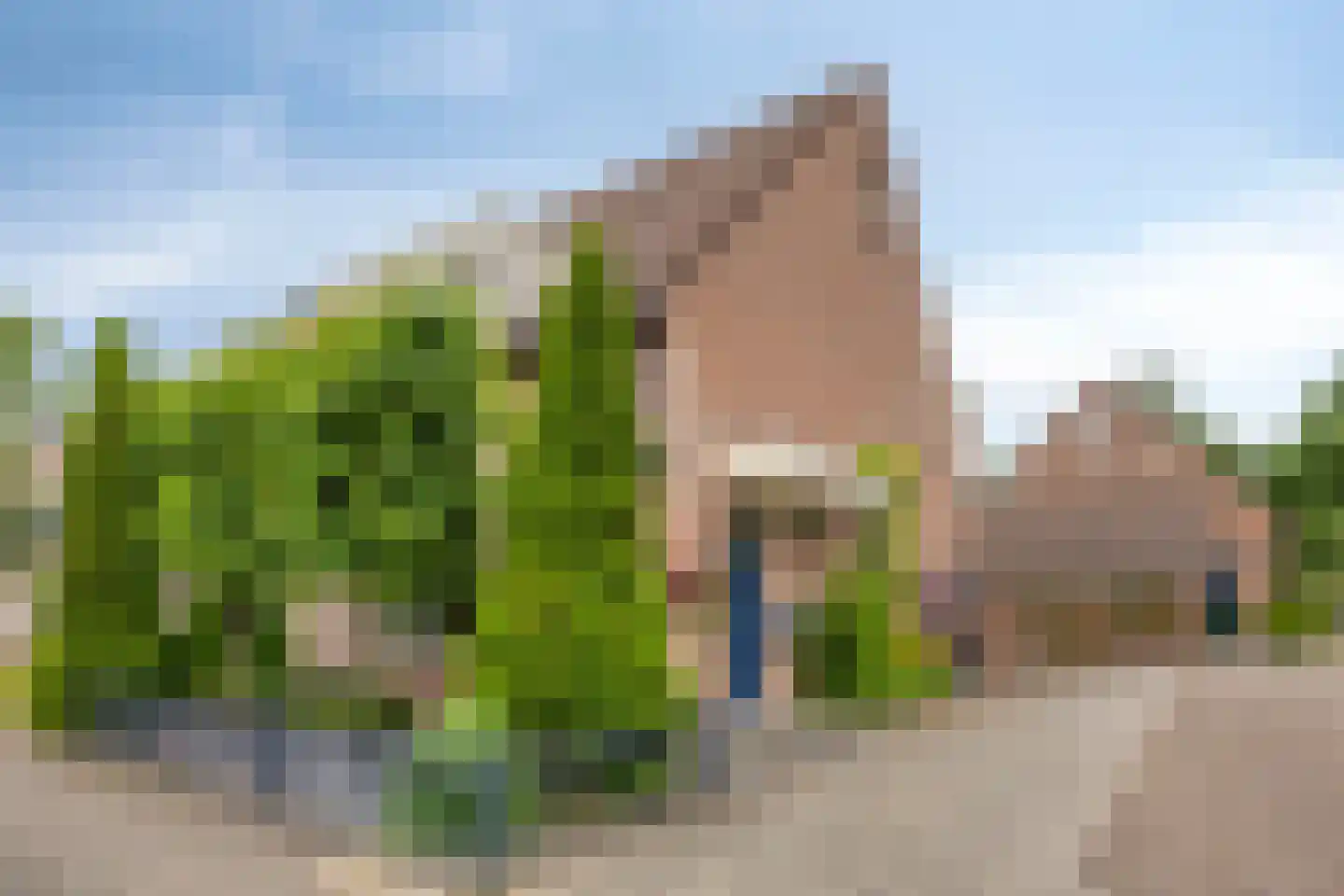 Muurzwaluw 2 in Veenendaal