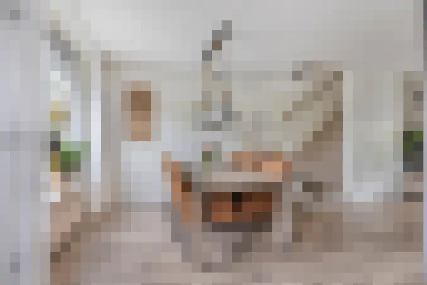 Muurzwaluw 2 Veenendaal thumbnail 10
