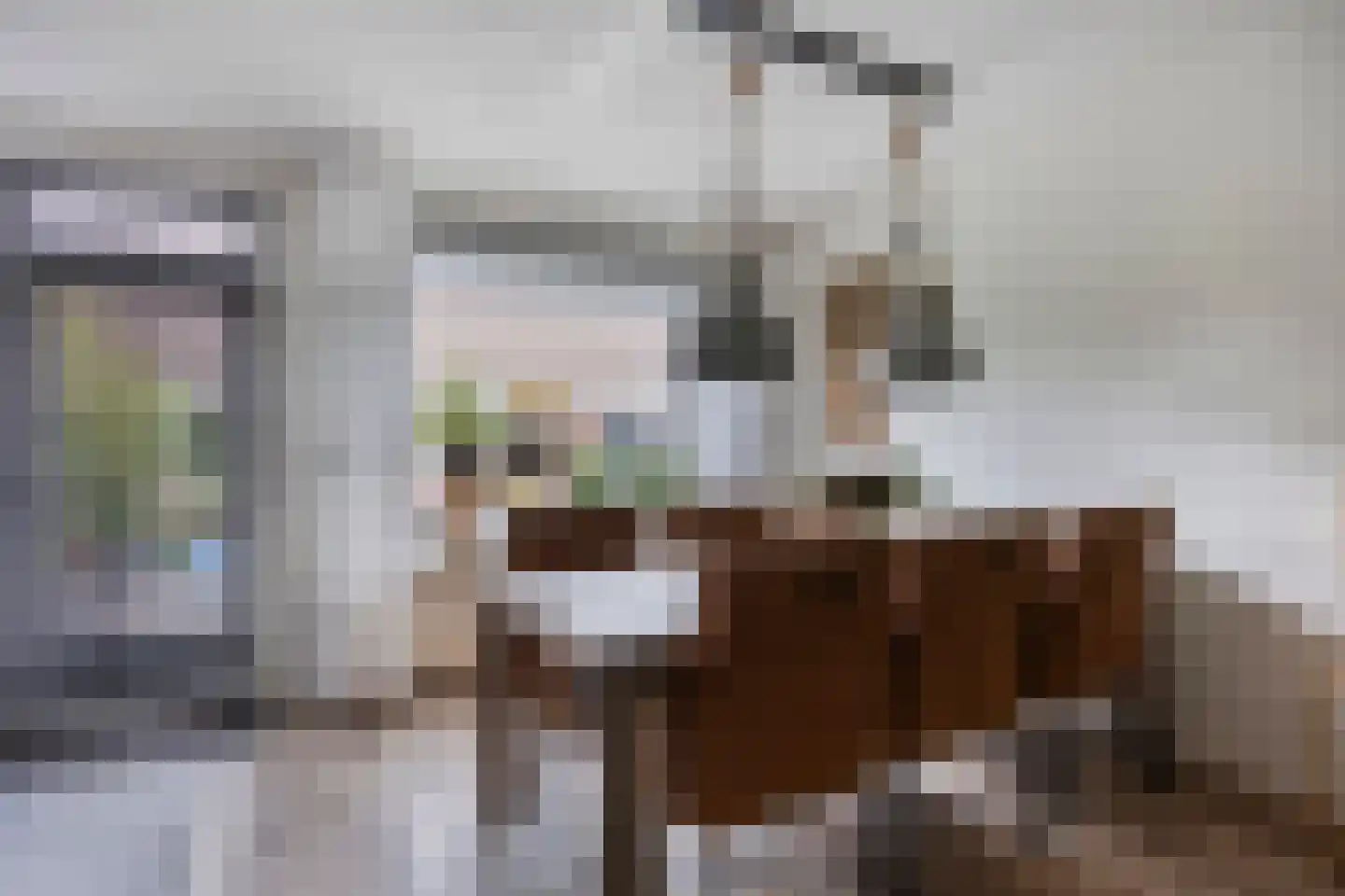 Muurzwaluw 2 Veenendaal thumbnail 11