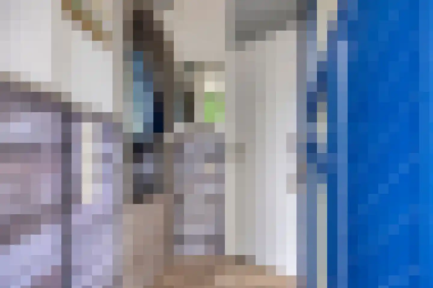 Muurzwaluw 2 Veenendaal thumbnail 12