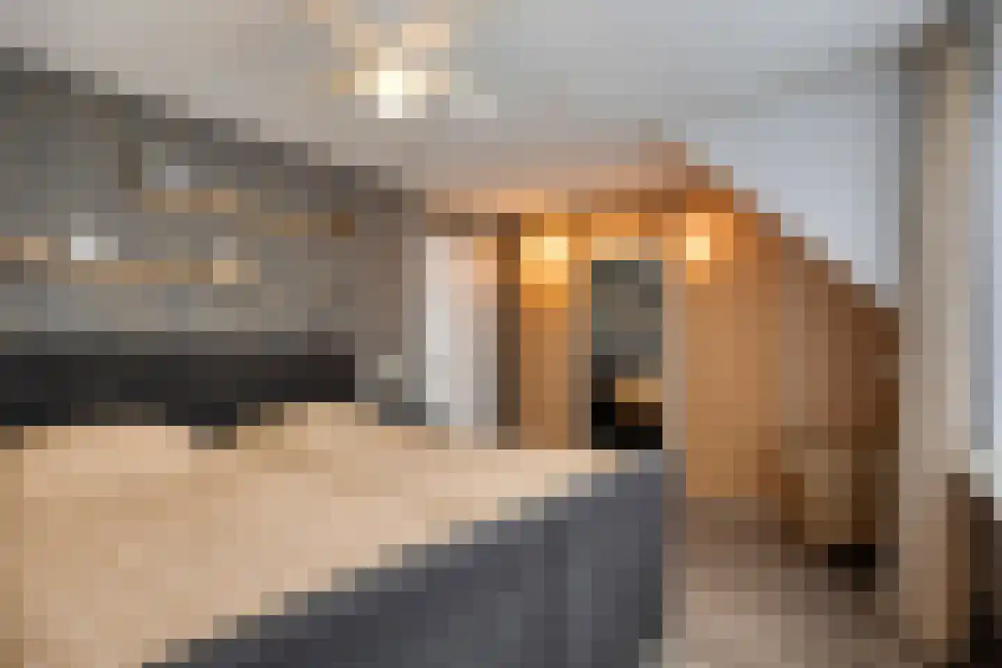 Muurzwaluw 2 Veenendaal thumbnail 15
