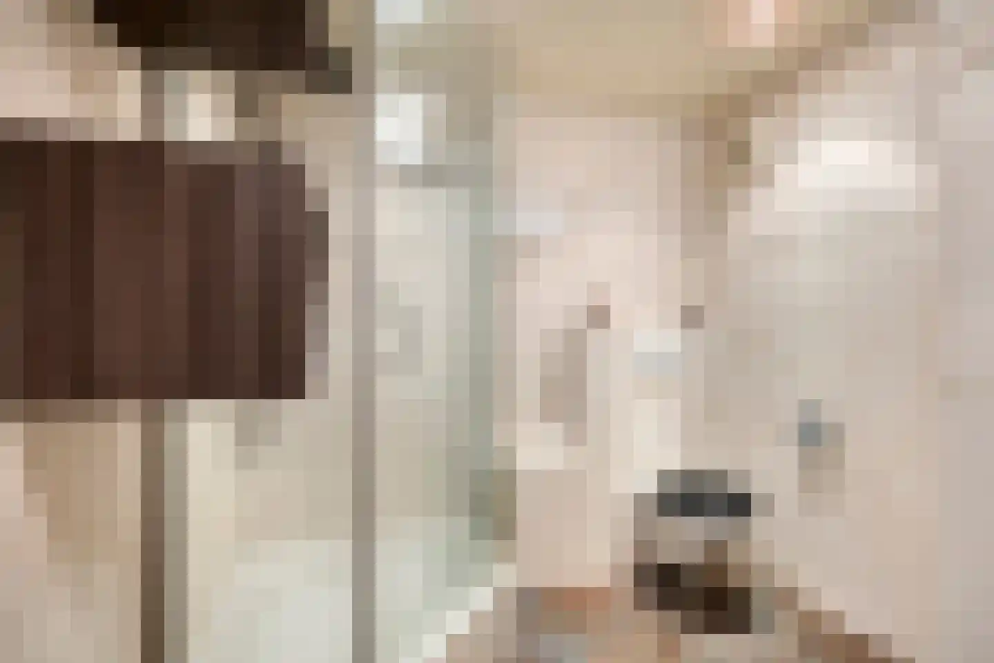 Muurzwaluw 2 Veenendaal thumbnail 18