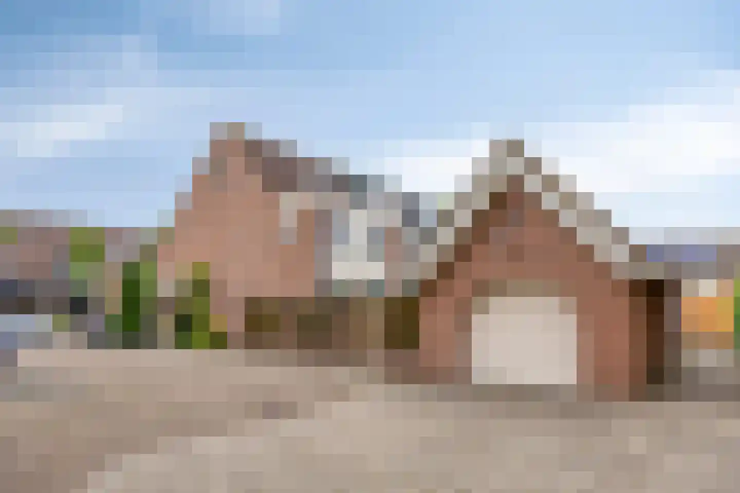 Muurzwaluw 2 Veenendaal foto 2