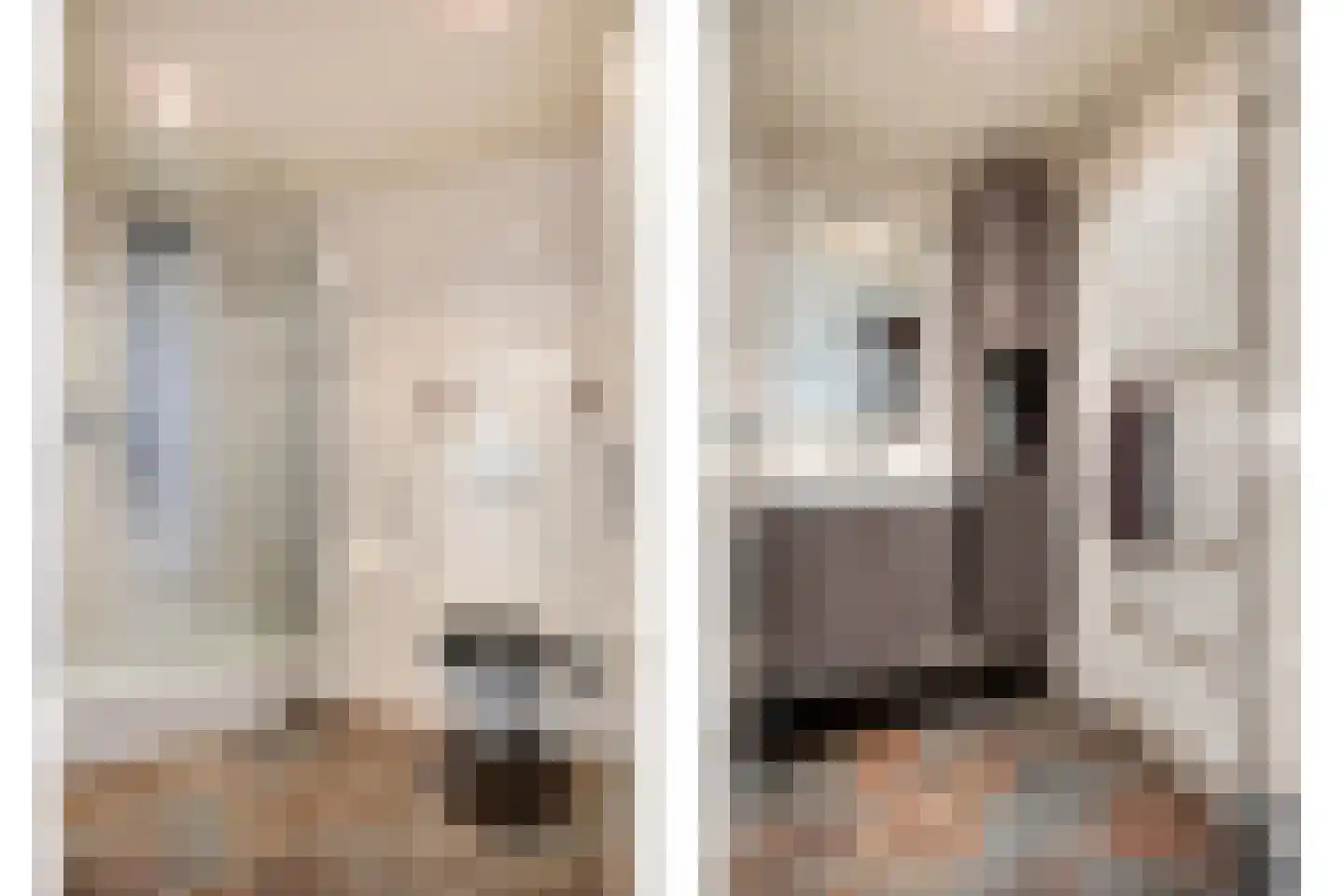 Muurzwaluw 2 Veenendaal thumbnail 20