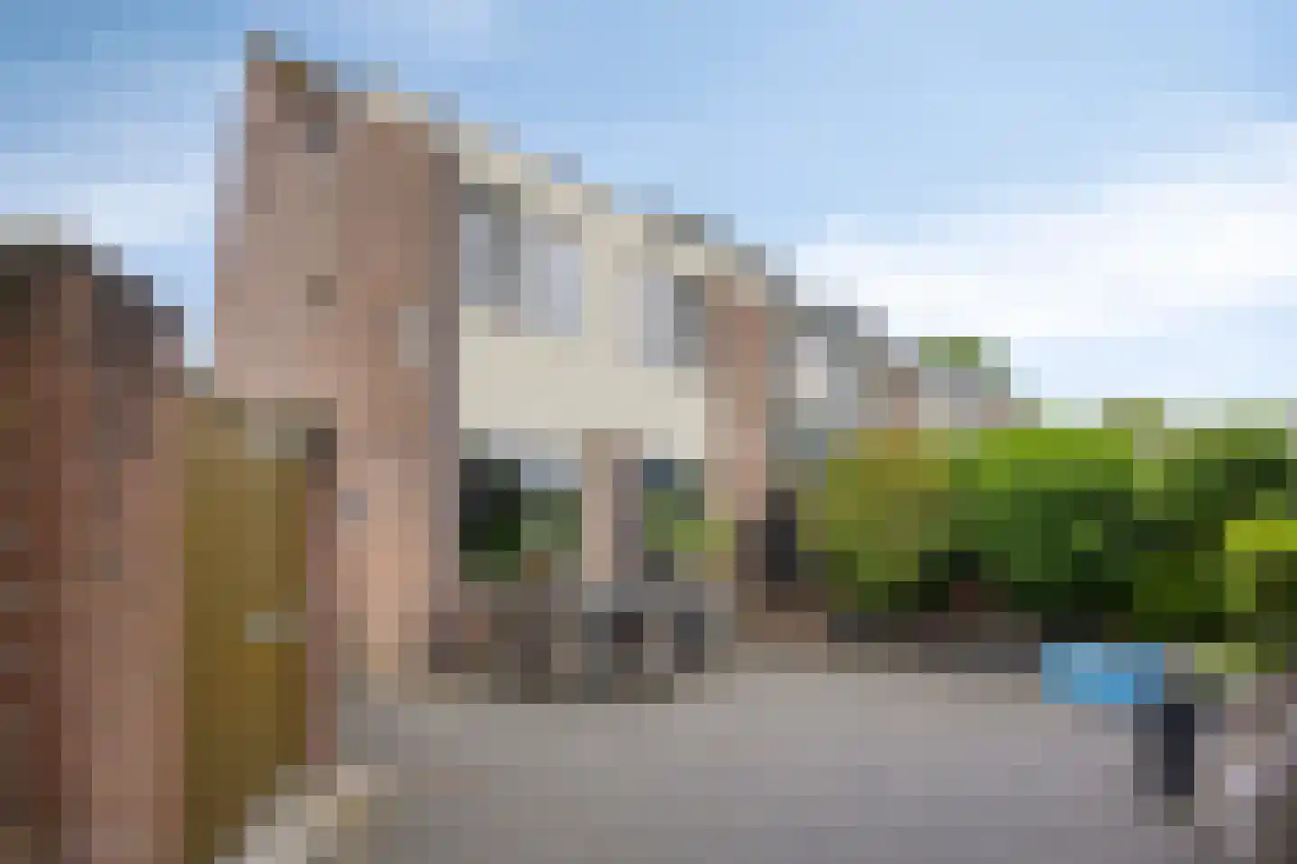 Muurzwaluw 2 Veenendaal thumbnail 30