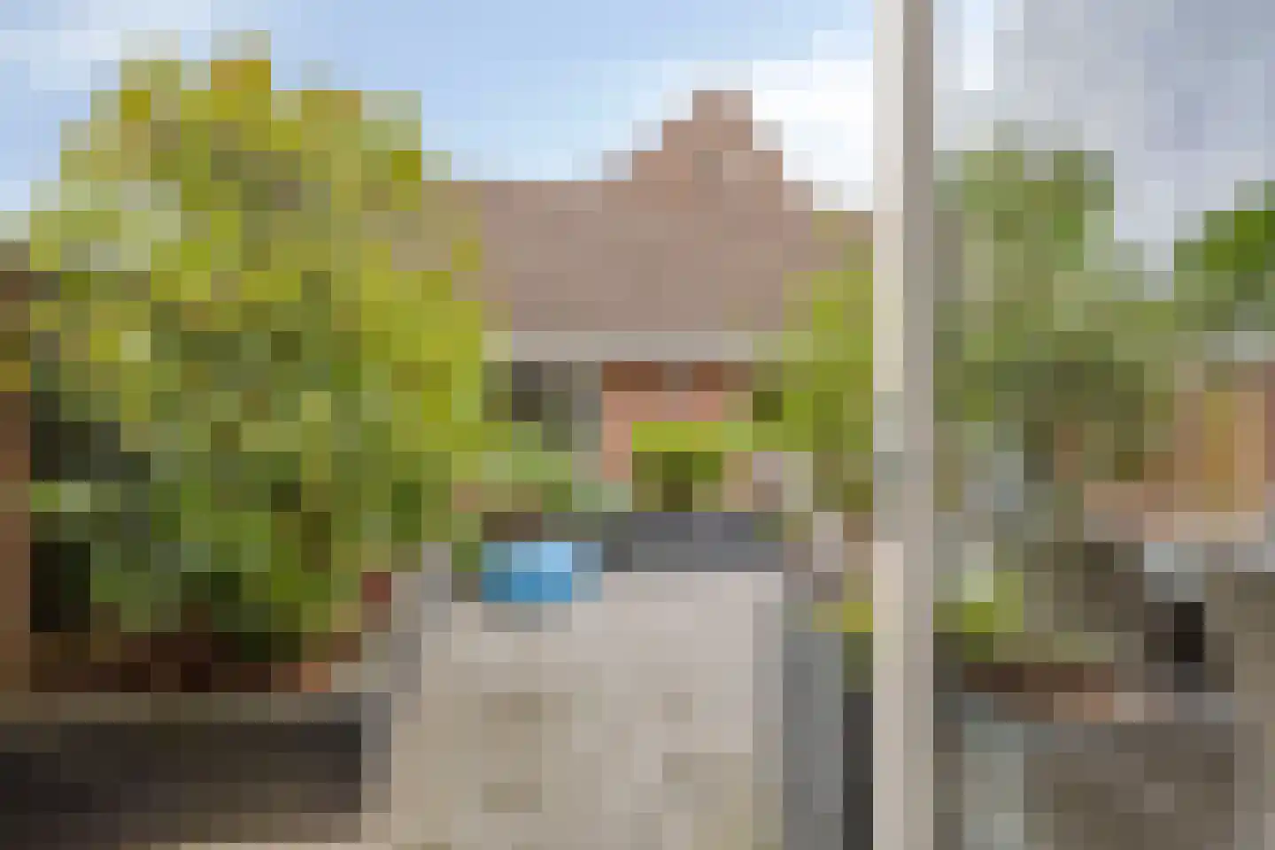 Muurzwaluw 2 Veenendaal thumbnail 31