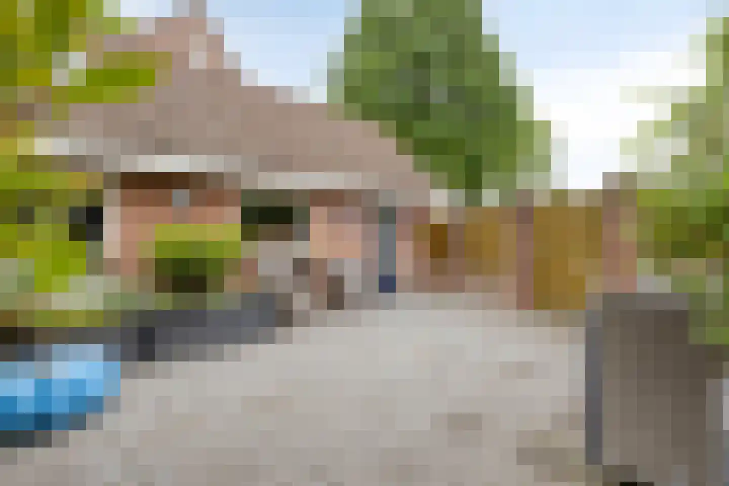 Muurzwaluw 2 Veenendaal thumbnail 32