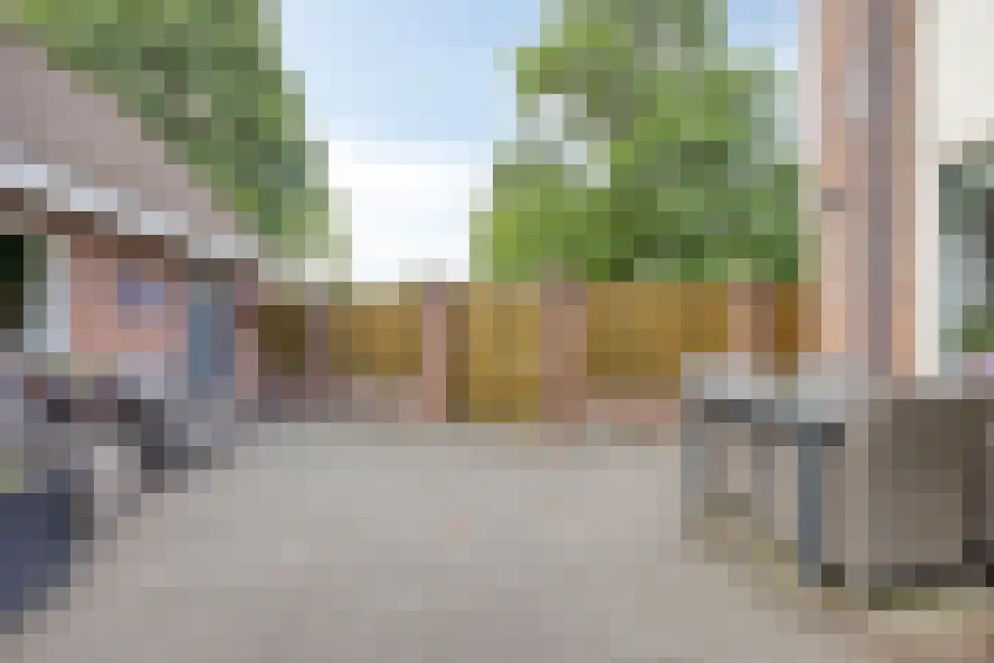 Muurzwaluw 2 Veenendaal thumbnail 33