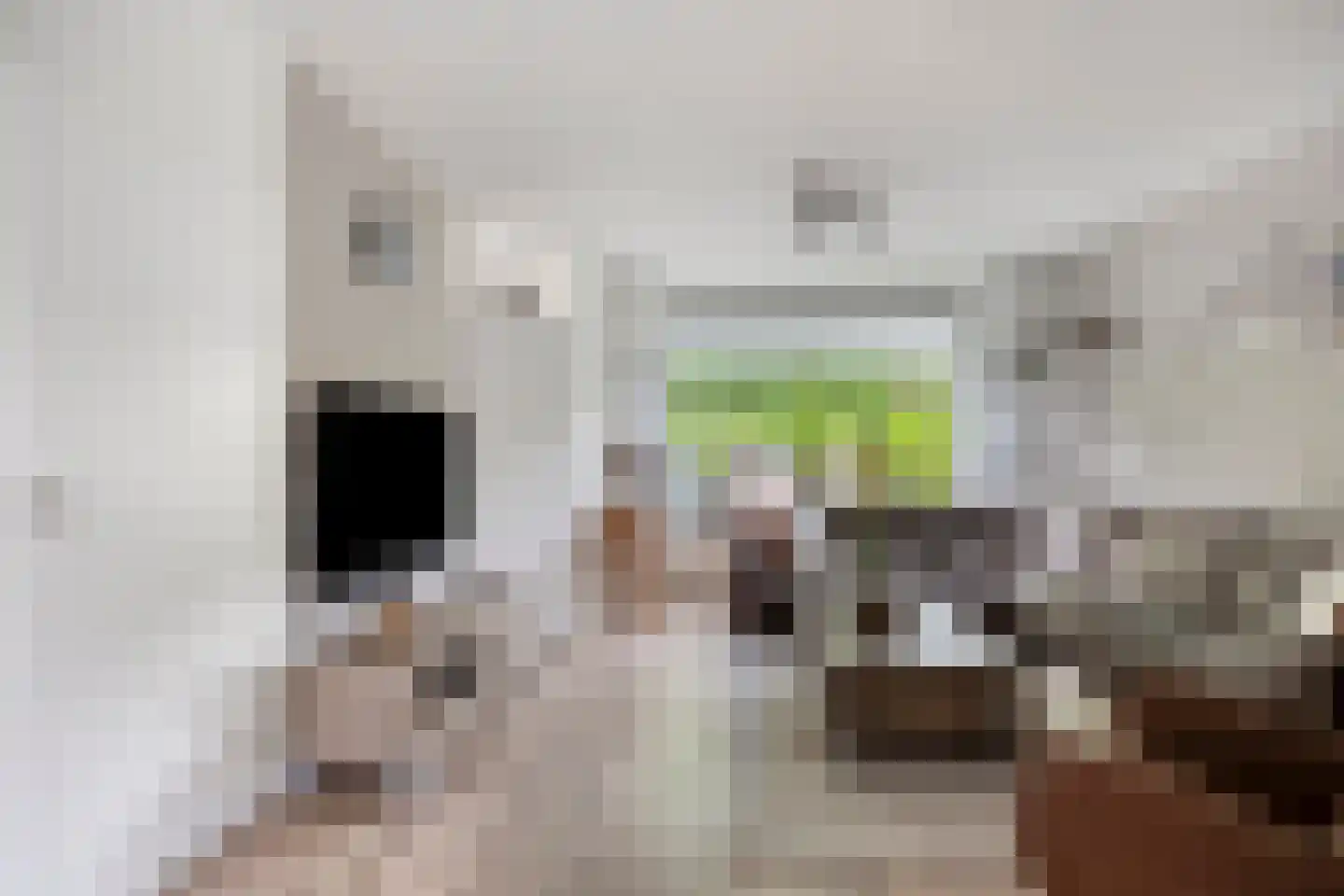 Muurzwaluw 2 Veenendaal thumbnail 5