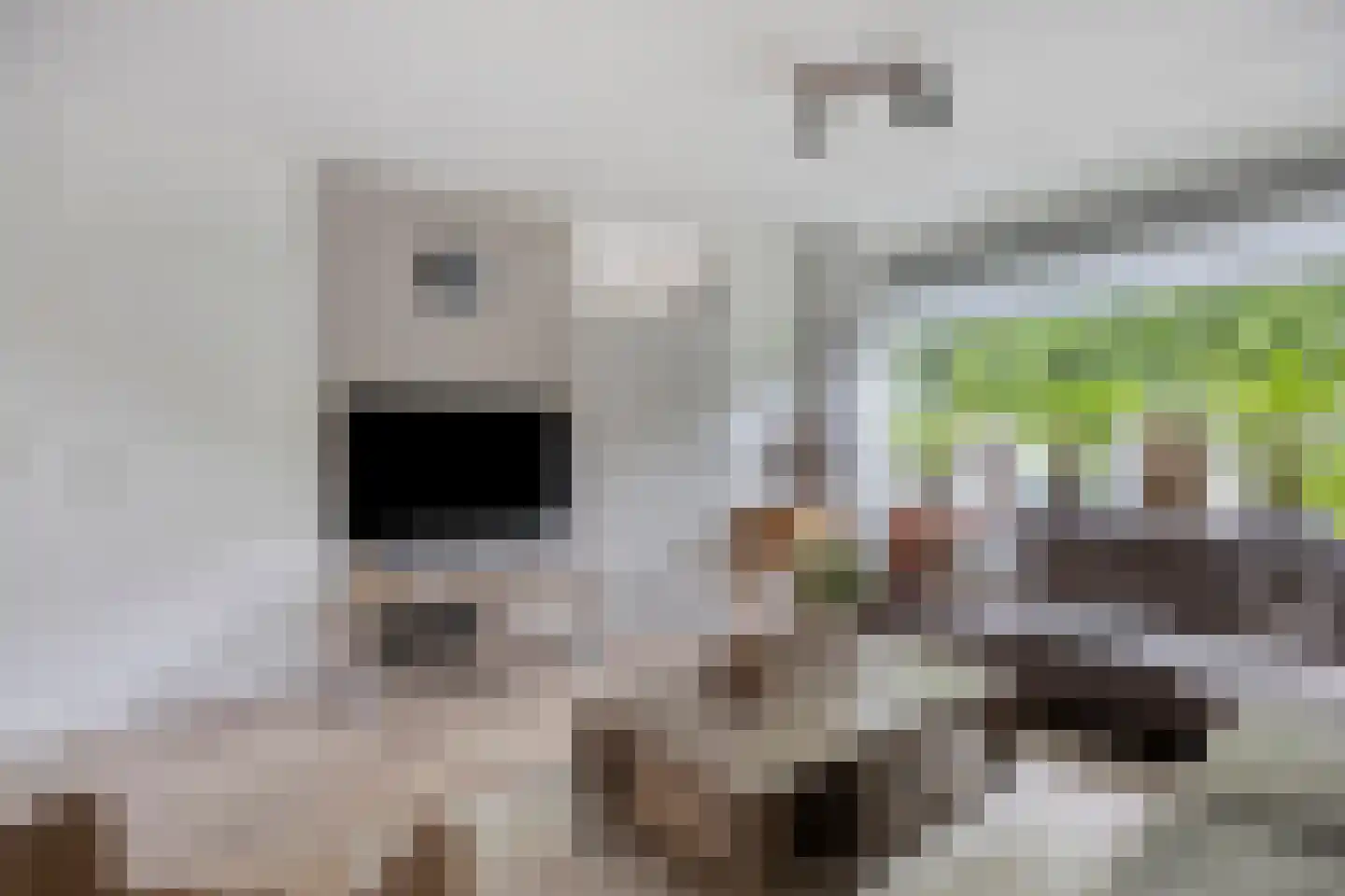 Muurzwaluw 2 Veenendaal thumbnail 6