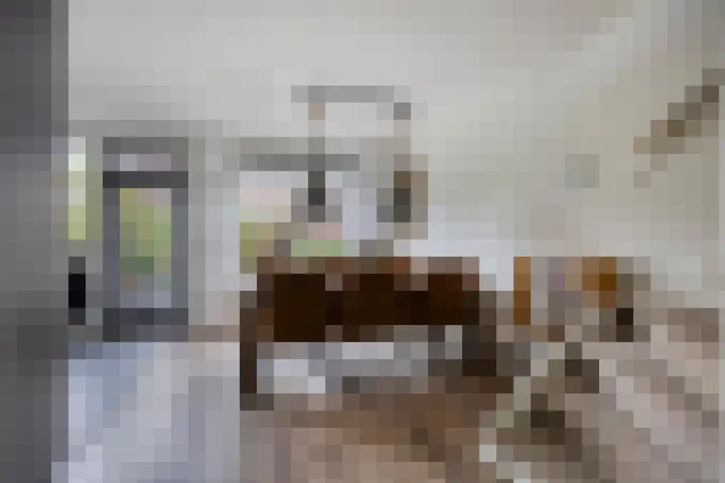 Muurzwaluw 2 Veenendaal thumbnail 7