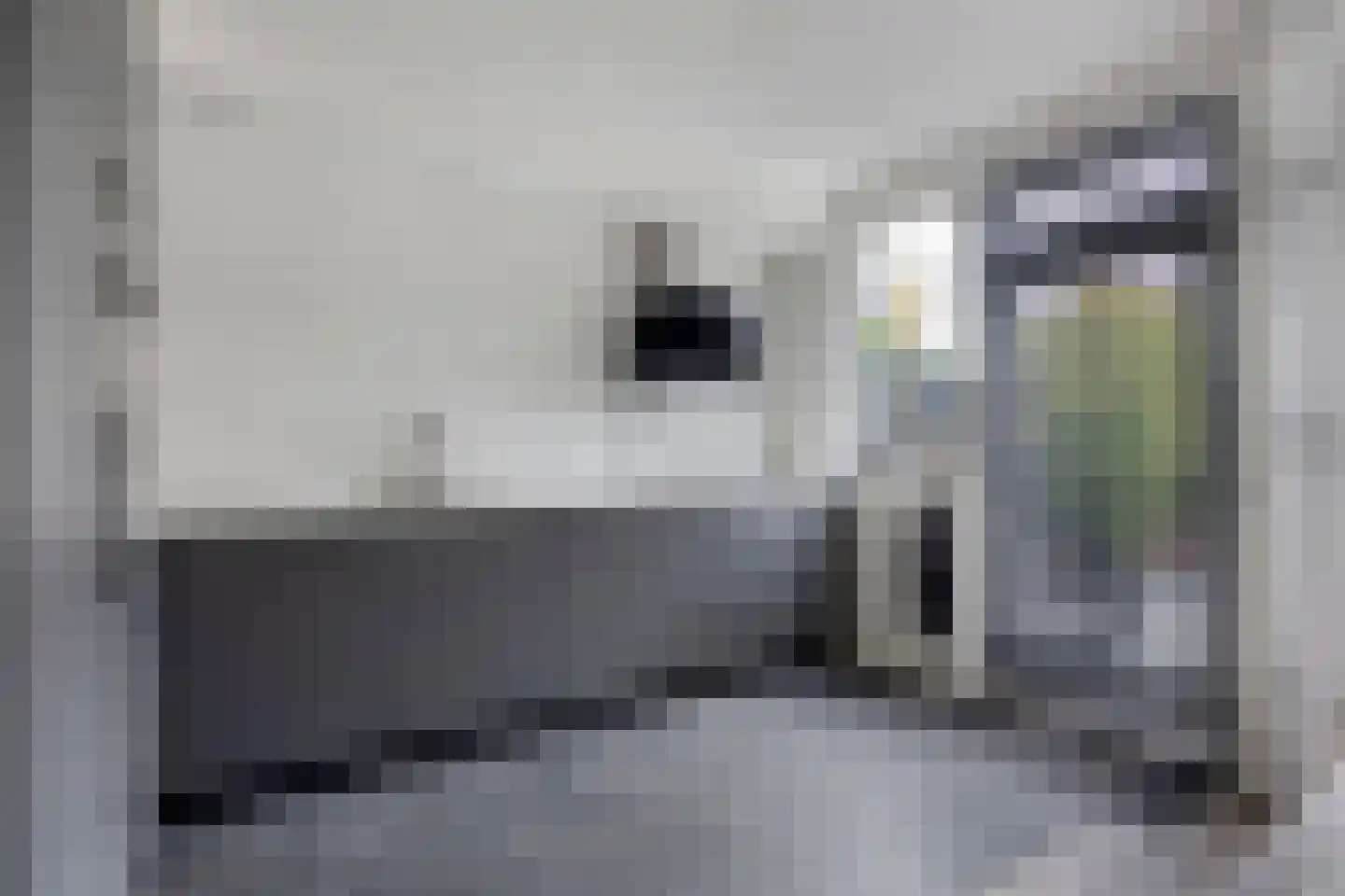 Muurzwaluw 2 Veenendaal thumbnail 8