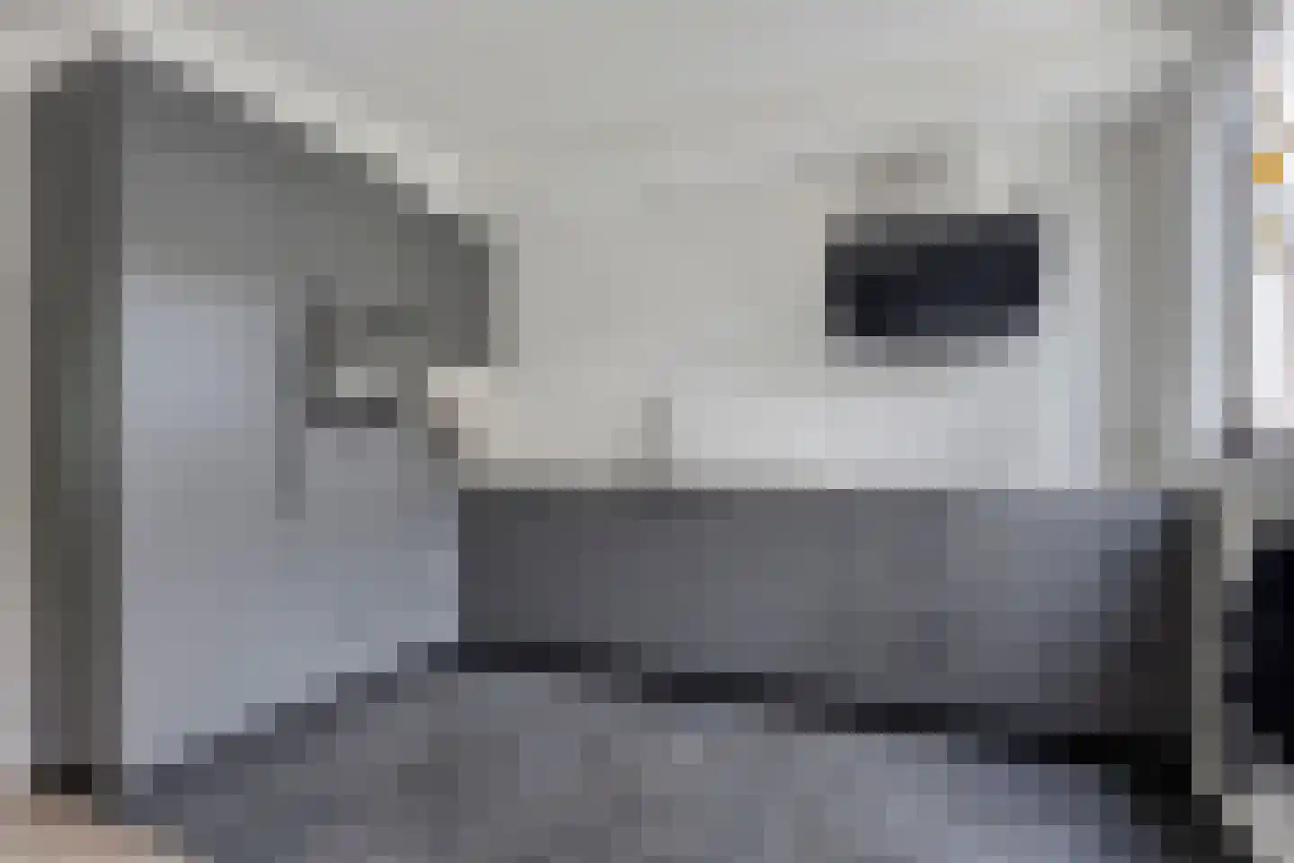Muurzwaluw 2 Veenendaal thumbnail 9