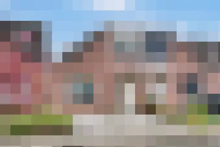 Muurzwaluw 24 Veenendaal