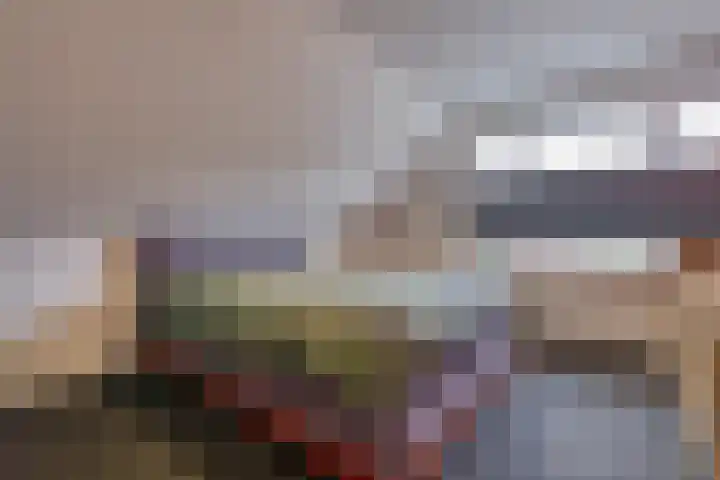 Muurzwaluw 24 Veenendaal thumbnail 20