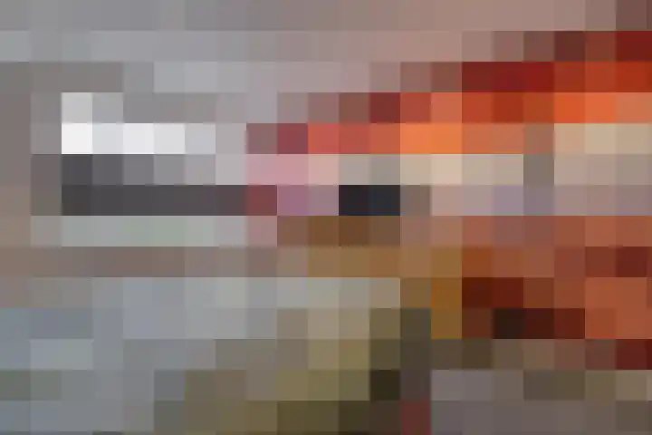 Muurzwaluw 24 Veenendaal thumbnail 21