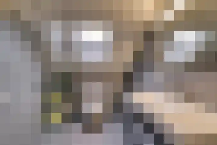 Muurzwaluw 24 Veenendaal thumbnail 23