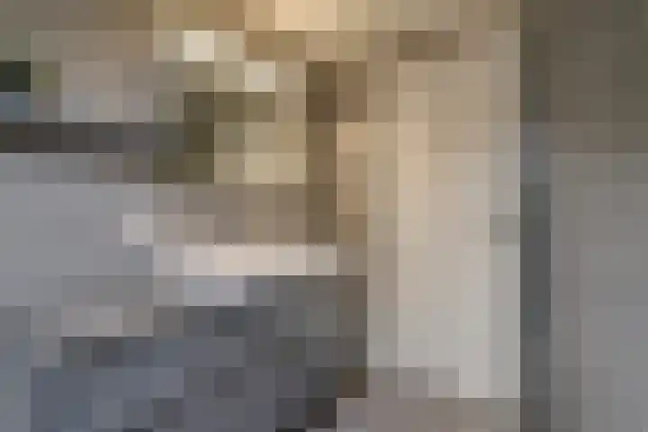 Muurzwaluw 24 Veenendaal thumbnail 25