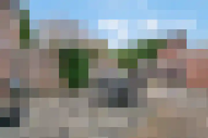 Muurzwaluw 24 Veenendaal thumbnail 27
