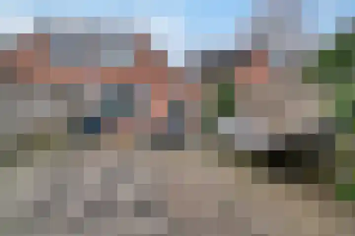Muurzwaluw 24 Veenendaal thumbnail 28