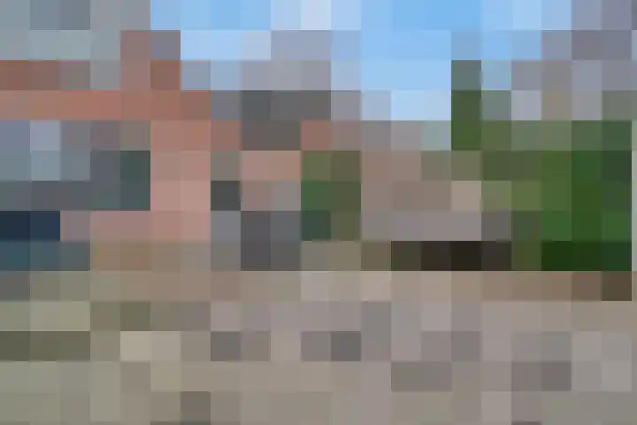 Muurzwaluw 24 Veenendaal thumbnail 29