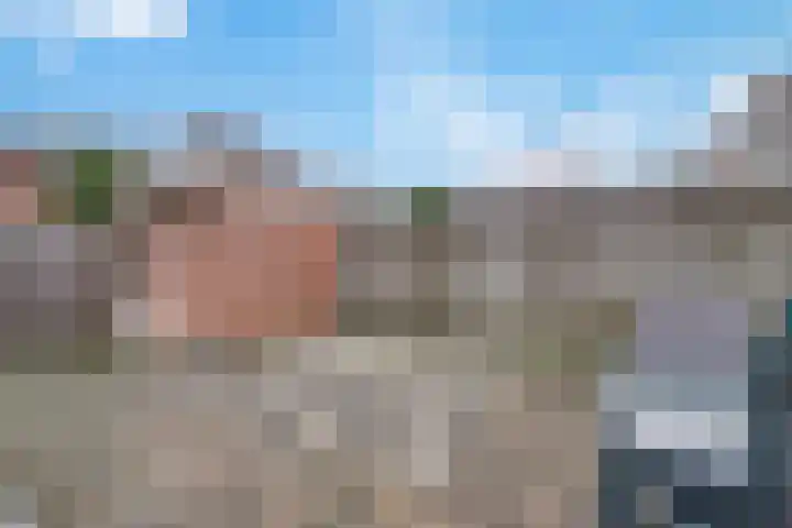 Muurzwaluw 24 Veenendaal thumbnail 30