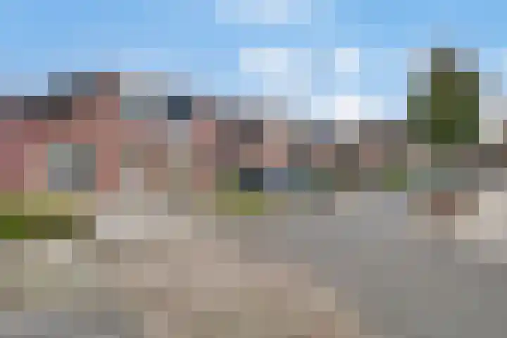 Muurzwaluw 24 Veenendaal thumbnail 31