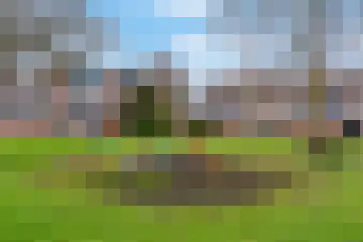 Muurzwaluw 24 Veenendaal thumbnail 32
