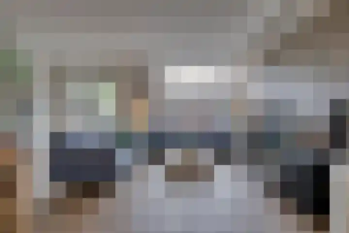Muurzwaluw 24 Veenendaal thumbnail 5