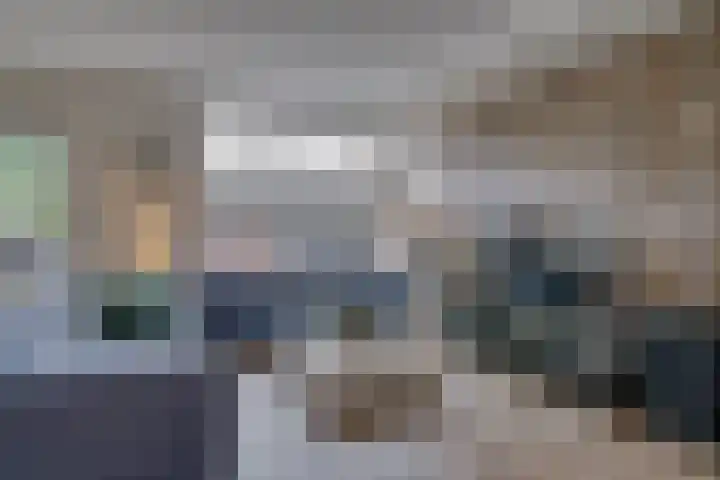 Muurzwaluw 24 Veenendaal thumbnail 6