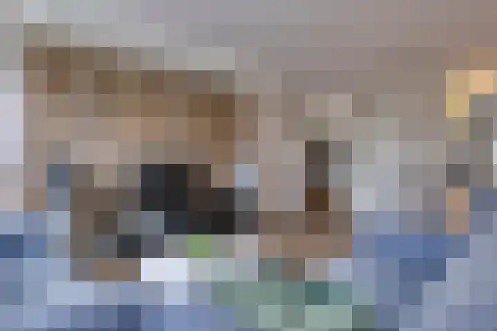 Muurzwaluw 24 Veenendaal thumbnail 7