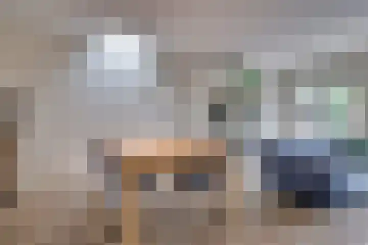 Muurzwaluw 24 Veenendaal thumbnail 8
