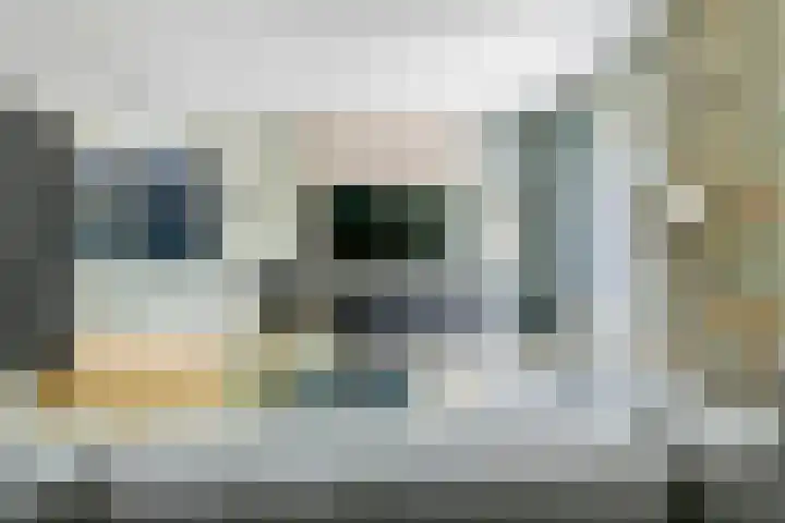 Muurzwaluw 38 Veenendaal thumbnail 11