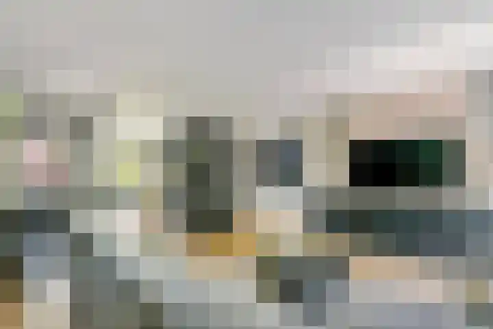 Muurzwaluw 38 Veenendaal thumbnail 12