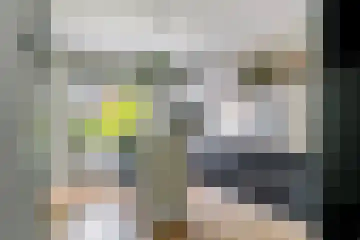 Muurzwaluw 38 Veenendaal thumbnail 13