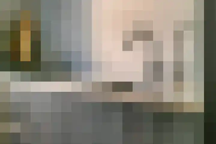 Muurzwaluw 38 Veenendaal thumbnail 15