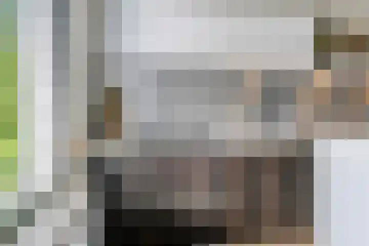Muurzwaluw 38 Veenendaal thumbnail 16