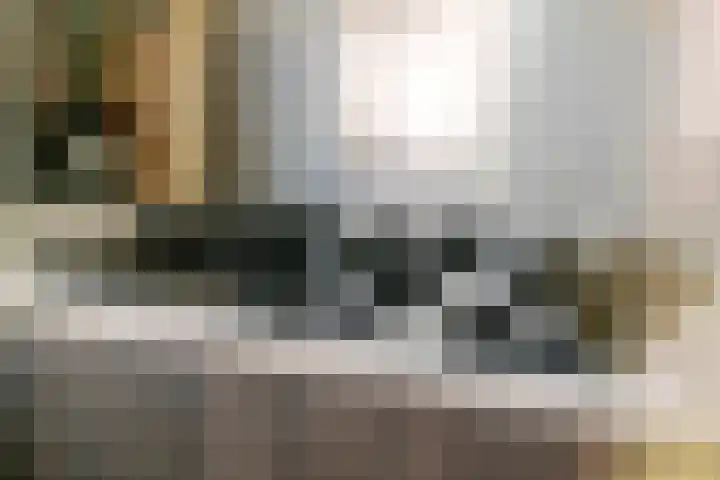 Muurzwaluw 38 Veenendaal thumbnail 17