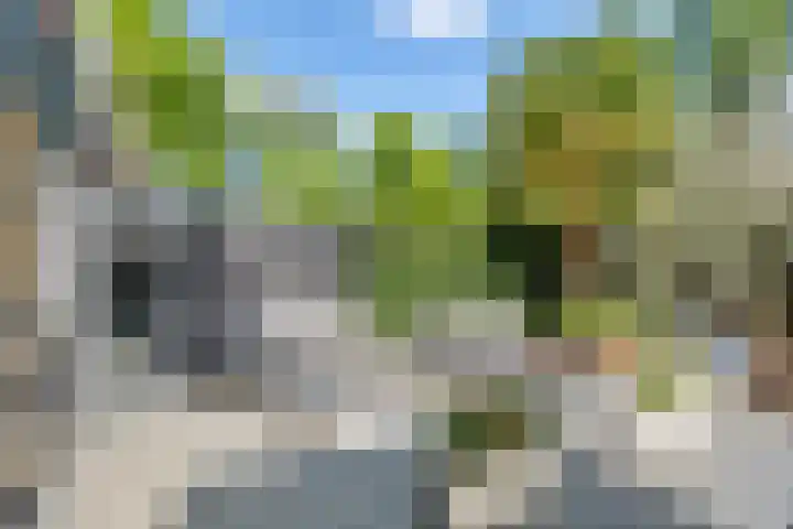 Muurzwaluw 38 Veenendaal thumbnail 20